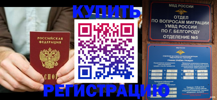 прописка 2025 в Дальнегорске